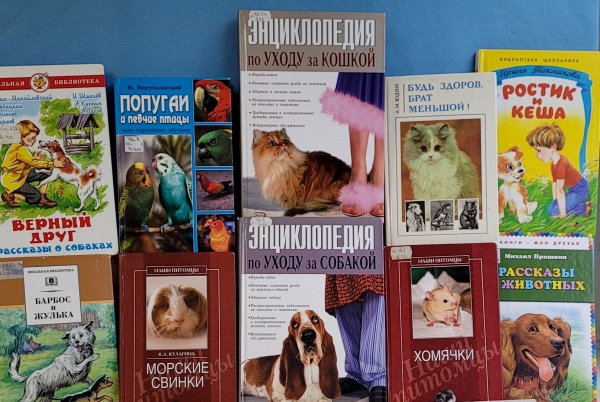 Выставка-забота «Друзей не бросают!»