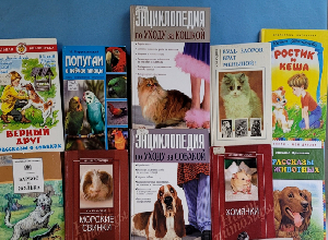 Выставка-забота «Друзей не бросают!»