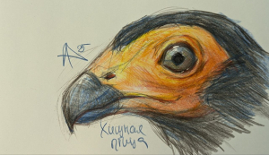 Выставка картин «Они живые»