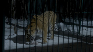 Кинопоказ и обсуждение фильма 