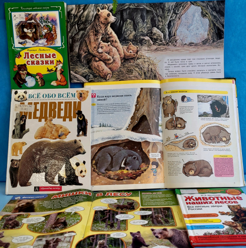 Выставка-знакомство «Бурый мишка – зверь серьёзный!»