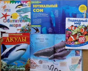 Экологическая выставка-репортаж «Жители водного мира»