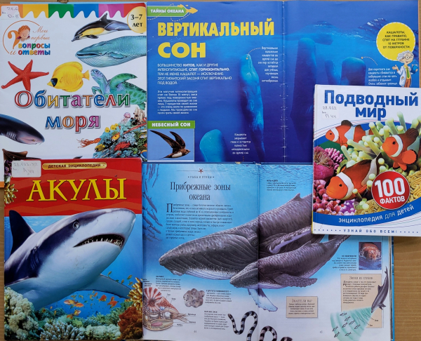 Экологическая выставка-репортаж «Жители водного мира»