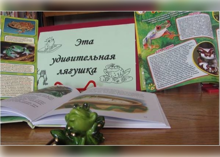 Эта удивительная лягушка!» » МБУК «Библионика» - городские библиотеки  Великого Новгорода